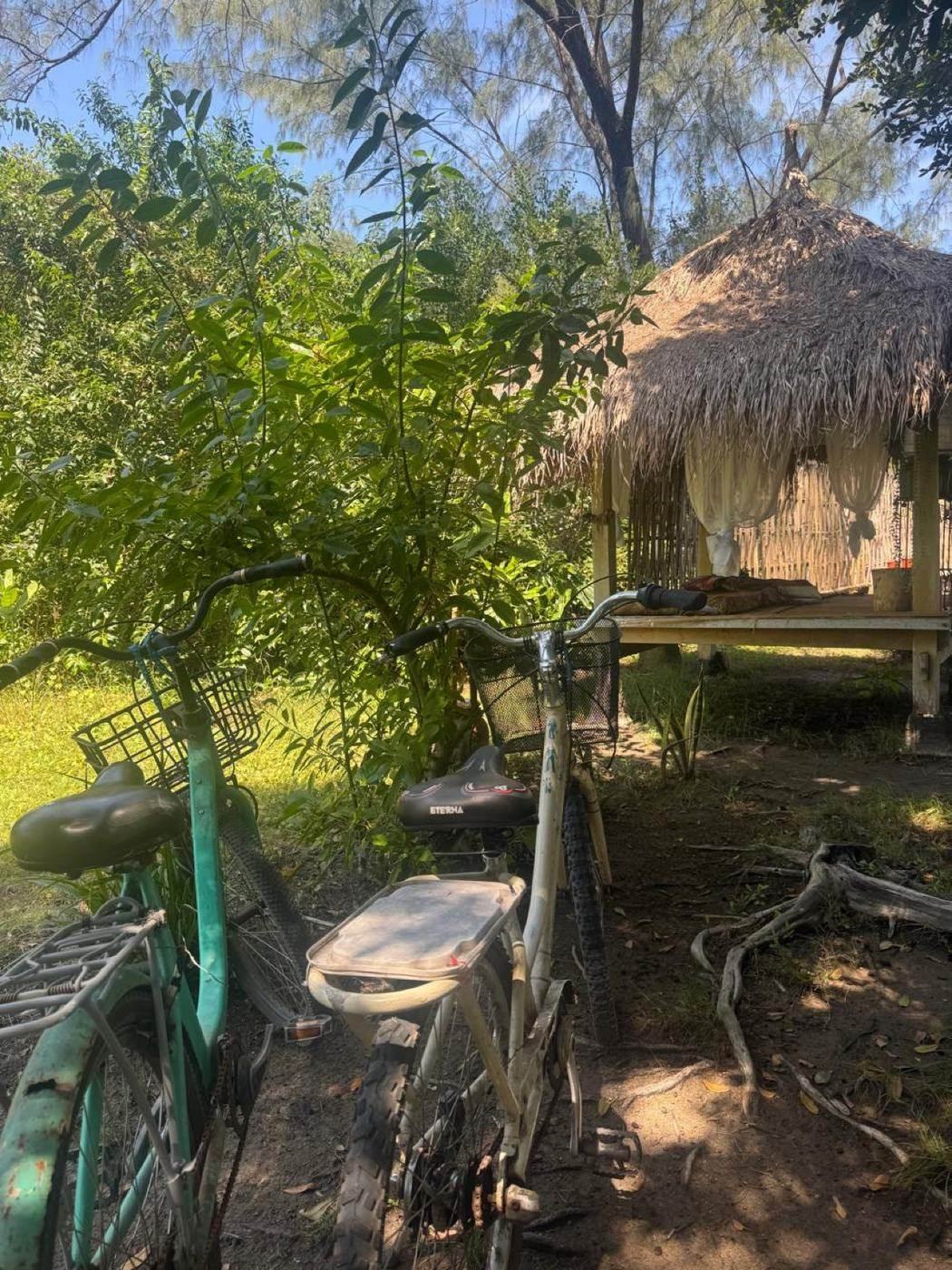 Island bikes and thatched gazebo