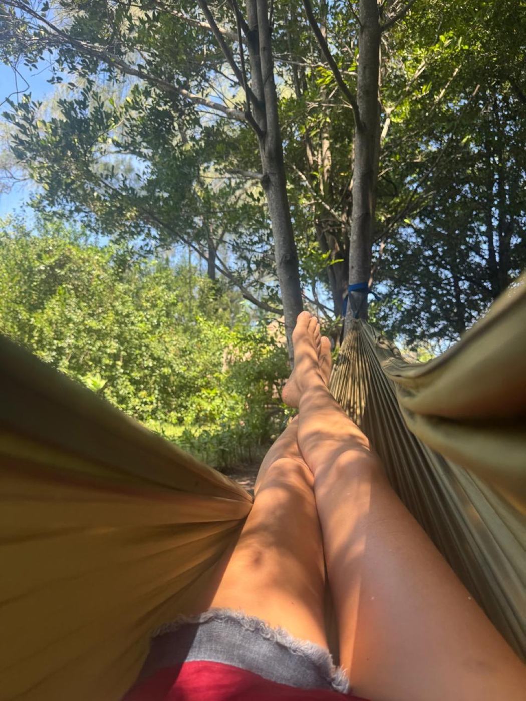 Hammock under the trees